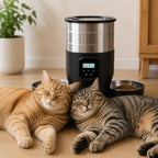 Distributeur Croquettes DuoMeal 4,5L