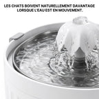 Fontaine AquaFlow FP10