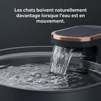Fontaine Chat AquaSense 3L
