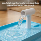 Fontaine Chat ColorFlow 2L