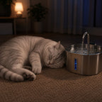 Fontaine Chat CubeFlow Inox 2,2L