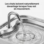Fontaine Chat CubeFlow Inox 2,2L
