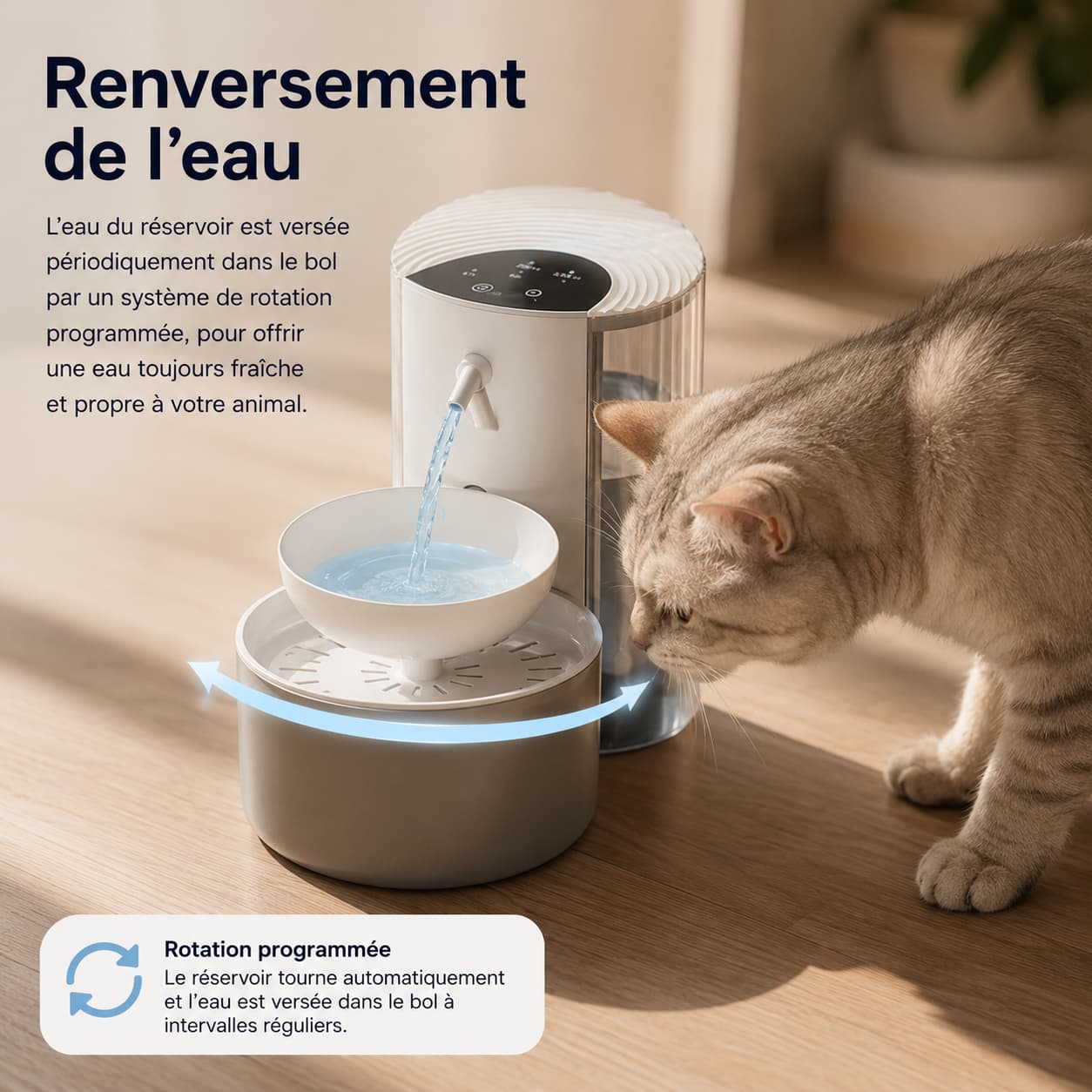 Fontaine Chat EasyFlow 3L