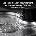 Fontaine Chat SmartFlow 3L