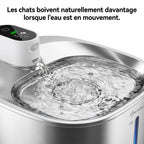 Fontaine Chat SteelSense 4L
