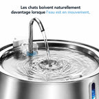 Fontaine Chat Inox 4L