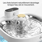 Fontaine Chat LibertyFlow 2,6L