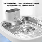 Fontaine Chat LongLife 3,5L