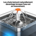 Fontaine Chat LumiFlow 2L