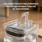 Fontaine Chat PureDrop 2,2L