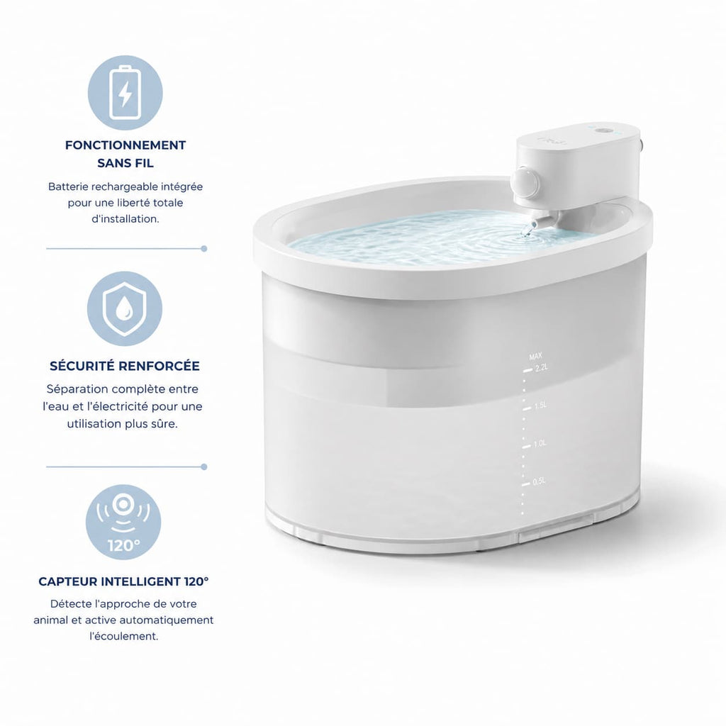 Fontaine Chat SafePond 2L