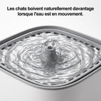Fontaine à Eau Automatique 3L PureFlow