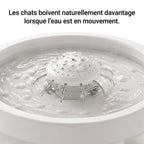 Fontaine à Eau Automatique Compacte 1,8L