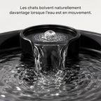Fontaine à Eau Automatique Grande Capacité 7L