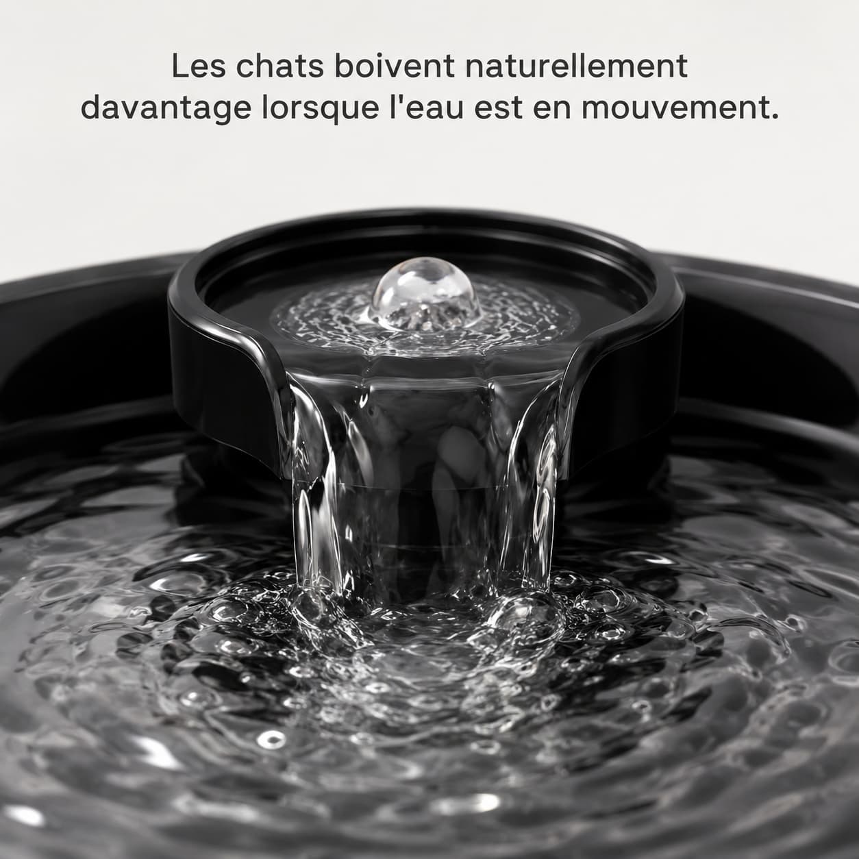 Fontaine à Eau Automatique Grande Capacité 7L