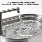 Fontaine à Eau Inox 3,2L