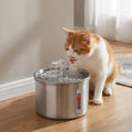 Fontaine Inox FlowCare 2L