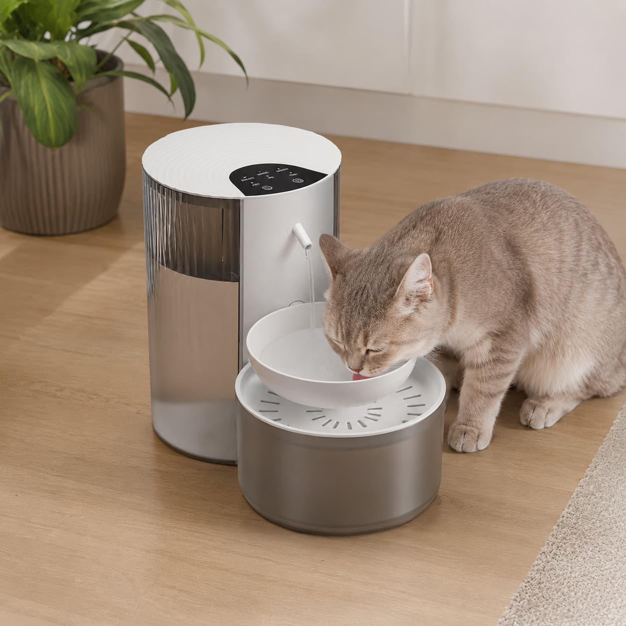 Fontaine Sans Fil SmartFlow