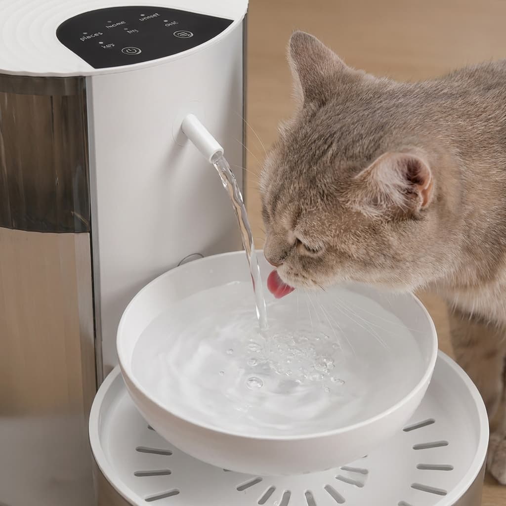Fontaine Sans Fil SmartFlow
