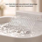 Fontaine à Eau 3L AutoFlow